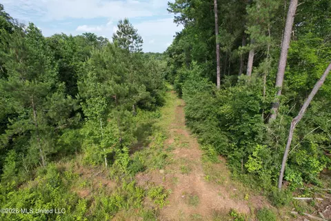 Highway 48, Gloster, MS 39638 photo 12