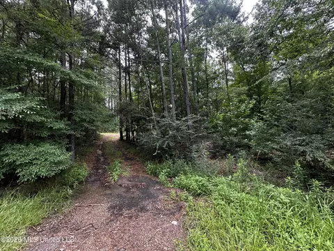 Highway 48, Gloster, MS 39638 photo 27