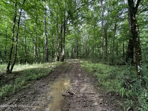 Highway 48, Gloster, MS 39638 photo 15