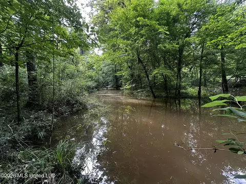 Highway 48, Gloster, MS 39638 photo 13