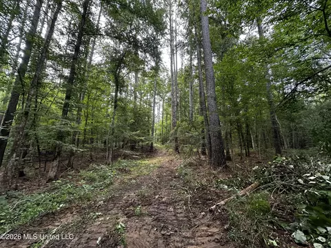 Highway 48, Gloster, MS 39638 photo 19