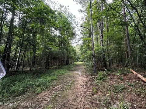 Highway 48, Gloster, MS 39638 photo 20
