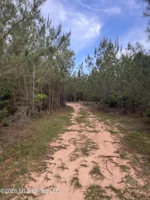 County Road 230, Shubuta, MS 39360