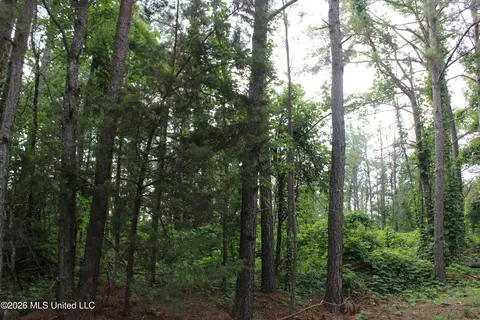351 Waites, Holly Springs, MS 38635