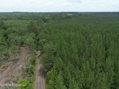 Summit Holmesville Road, Mccomb, MS 39648 photo 3