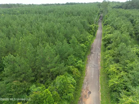 Summit Holmesville Road, Mccomb, MS 39648 photo 20
