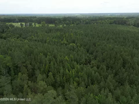 Summit Holmesville Road, Mccomb, MS 39648 photo 26