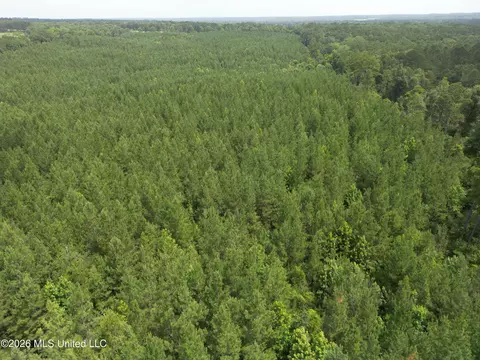 Summit Holmesville Road, Mccomb, MS 39648 photo 7