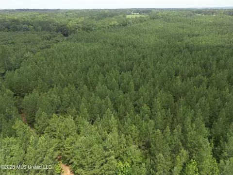 Summit Holmesville Road, Mccomb, MS 39648 photo 9