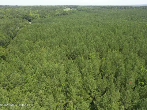 Summit Holmesville Road, Mccomb, MS 39648 photo 6