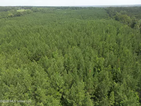 Summit Holmesville Road, Mccomb, MS 39648 photo 5