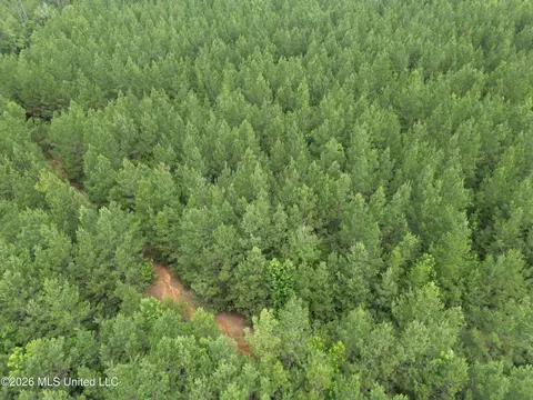 Summit Holmesville Road, Mccomb, MS 39648 photo 8