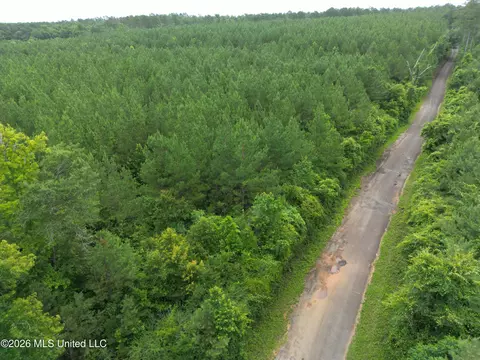 Summit Holmesville Road, Mccomb, MS 39648 photo 19