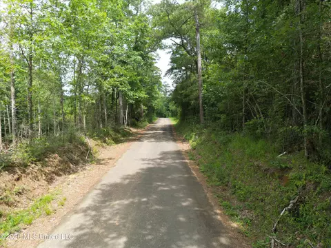 Summit Holmesville Road, Mccomb, MS 39648 photo 18