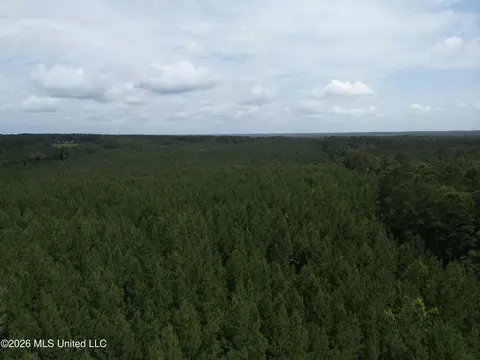 Summit Holmesville Road, Mccomb, MS 39648