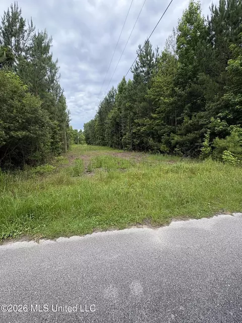 2517 Will Kibby Rd, Moss Point, MS 39562 photo 14