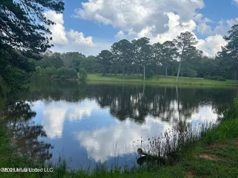 229 12 Oaks Trce, Canton, MS 39046