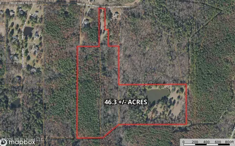 229 12 Oaks Trce, Canton, MS 39046