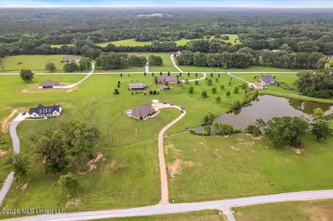View/Area - 140 Winchester Dr, Flora, MS 39071 photo 3 of 8