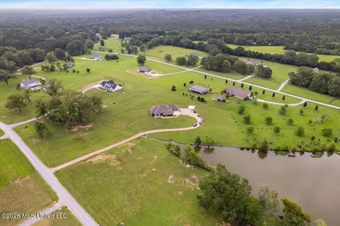 View/Area - 140 Winchester Dr, Flora, MS 39071 photo 2 of 8