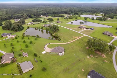 View/Area - 140 Winchester Dr, Flora, MS 39071 photo 5 of 8