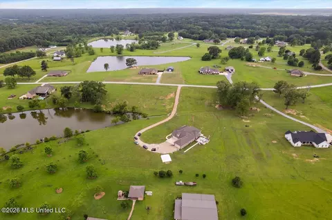 View/Area - 140 Winchester Dr, Flora, MS 39071 photo 4 of 8