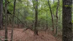 633 Lowhead Dam Rd, Lena, MS 39094