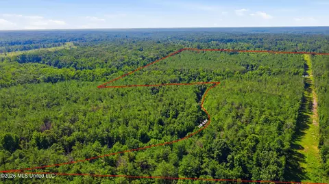 County Road 159, Coila, MS 38923 photo 13