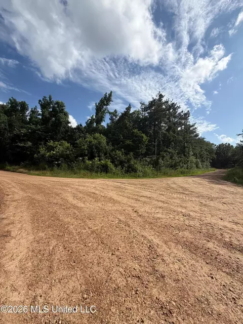 County Road 159, Coila, MS 38923 photo 5