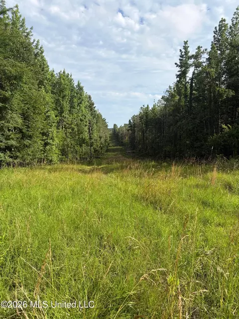 County Road 159, Coila, MS 38923 photo 6