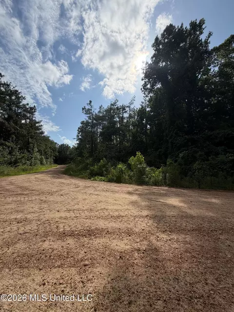 County Road 159, Coila, MS 38923 photo 4