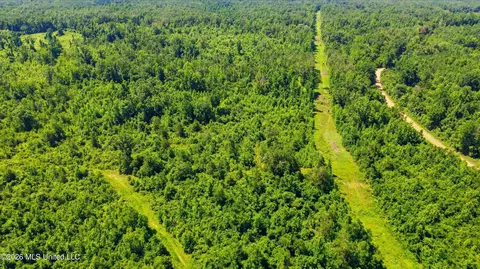County Road 159, Coila, MS 38923 photo 14