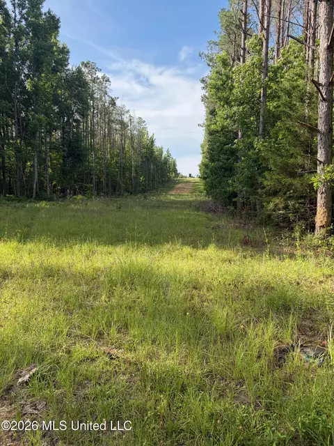 County Road 159, Coila, MS 38923