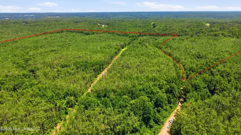 County Road 159, Coila, MS 38923 photo 10