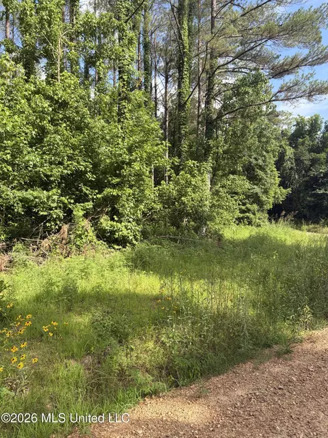 County Road 159, Coila, MS 38923 photo 7