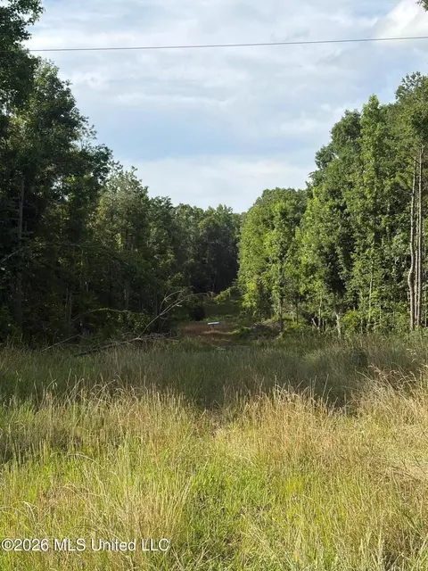 County Road 159, Coila, MS 38923 photo 2