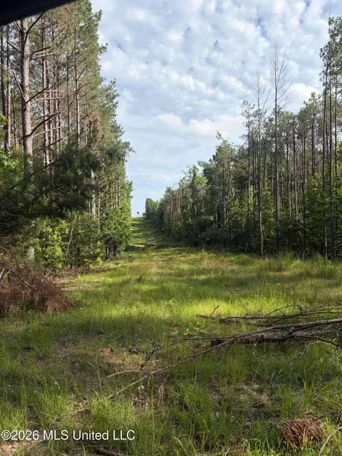 County Road 159, Coila, MS 38923 photo 3