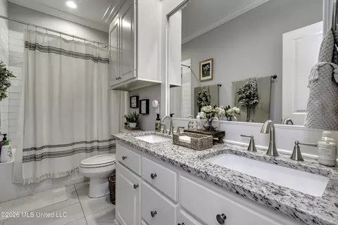Bath - 403 Crossvine Pl, Madison, MS 39110 photo 7 of 7