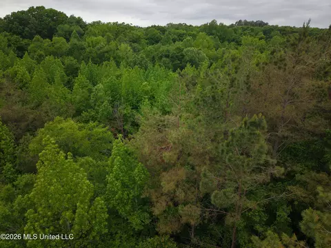 Beechwood Drive, Grenada, MS 38901 photo 6
