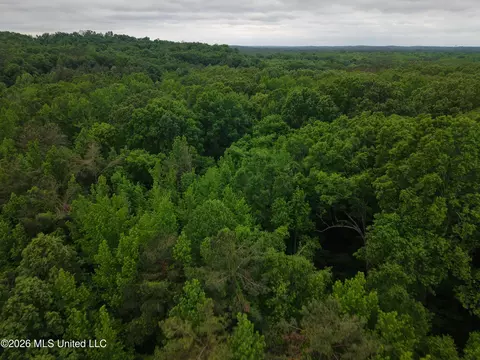 Beechwood Drive, Grenada, MS 38901 photo 8