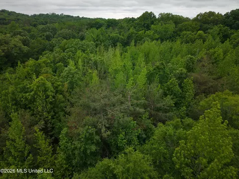 Beechwood Drive, Grenada, MS 38901 photo 7