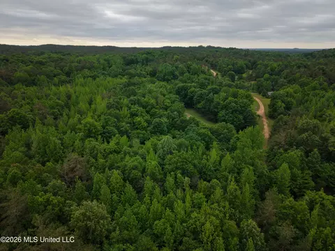 Beechwood Drive, Grenada, MS 38901 photo 13