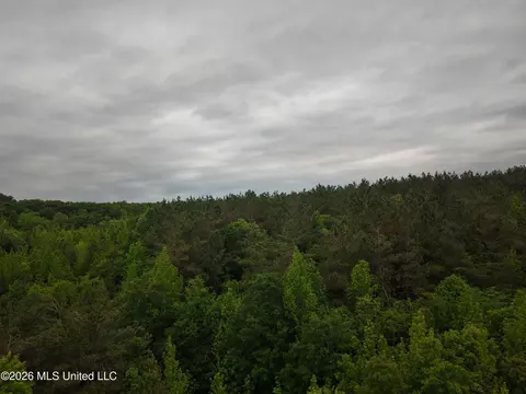 Beechwood Drive, Grenada, MS 38901 photo 3