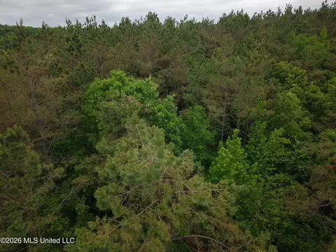 Beechwood Drive, Grenada, MS 38901 photo 5