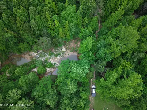 Beechwood Drive, Grenada, MS 38901 photo 11