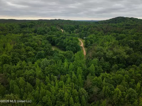 Beechwood Drive, Grenada, MS 38901