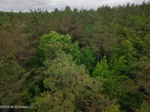 Beechwood Drive, Grenada, MS 38901 photo 4