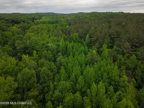 Beechwood Drive, Grenada, MS 38901 photo 9