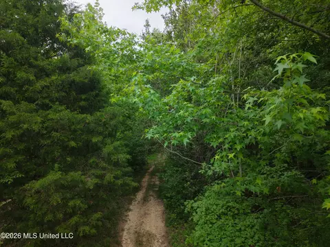 Beechwood Drive, Grenada, MS 38901 photo 2