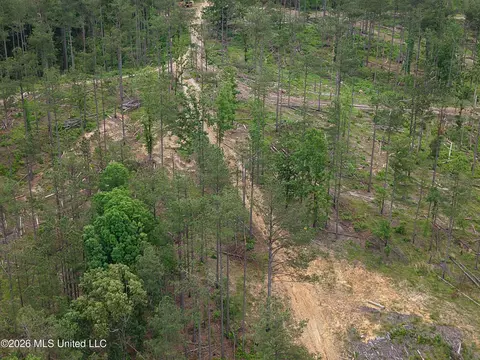Graysport Crossing Road, Grenada, MS 38901 photo 8